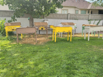 Bubba's Bees LLC