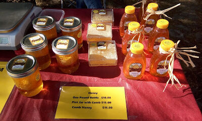 Nellie's Garden and Honey