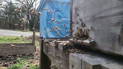 Bee Haven Hive & Honey Co.