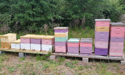 BZ Honey at Thirsty Bee Meadery