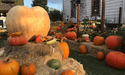 Post Street Farm