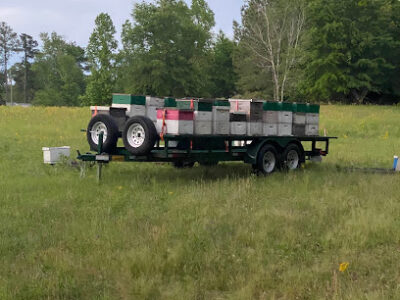 Douglass Apicultural Services