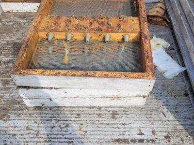 Full Bloom Apiaries