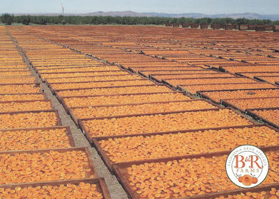 B & R Farms