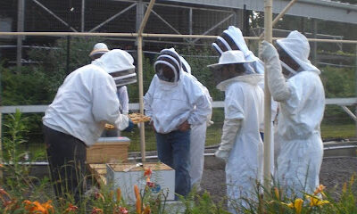 Keiner's Apiary