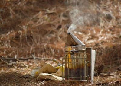 Bee Gold Honey
