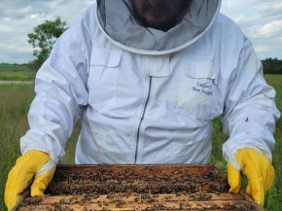 Little Shed Homestead