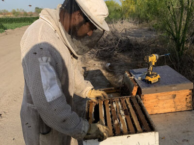 Lozar Apiaries