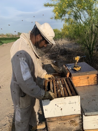 Lozar Apiaries