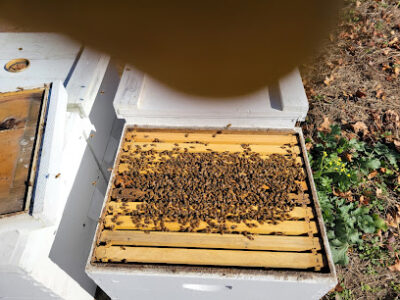 Crossroads Honey Farm, Inc.