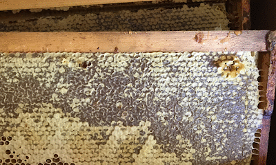 Breeze Farm - Local Honey