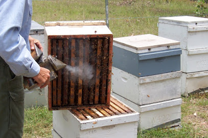 T-Rex Apiaries