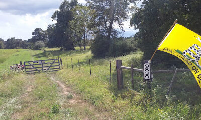 Carlton Coffman Farms