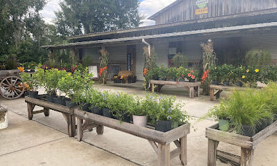 Brown & Brown Farms and Country Store