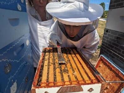 Snoqualmie Valley Beekeepers