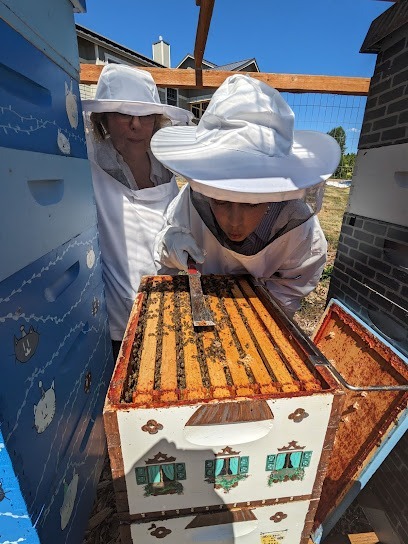 Snoqualmie Valley Beekeepers