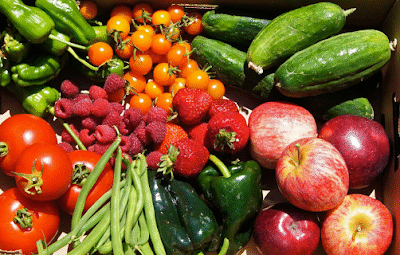 Live Earth Farm: Community Supported Agriculture