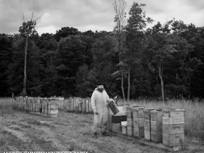 Bedillion Honey Farm