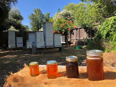 O’Connell Family Apiary