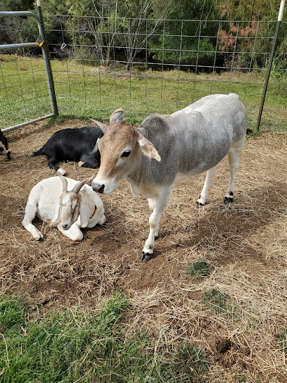 R and R Acres