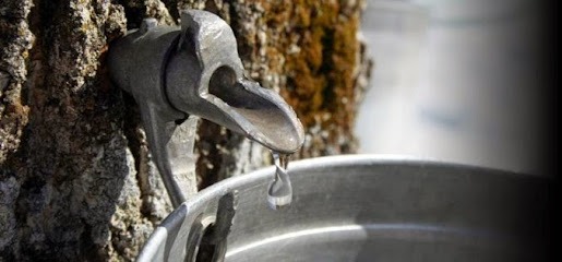 Maple Hollow Syrup and Equipment
