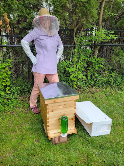 Tree City Bee Company