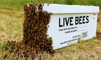 Bemis Honey Bee Farm