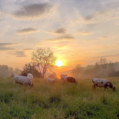 Free Union Grass Farm