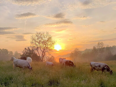 Free Union Grass Farm