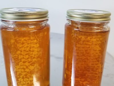 Lake in the Willows Apiay