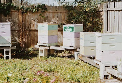 Glory Bee Farm