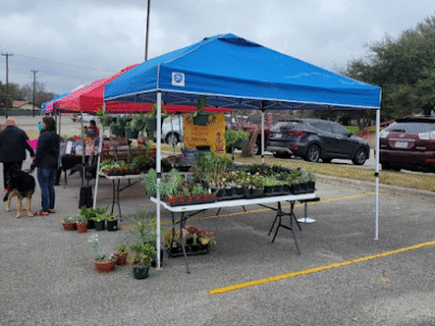 Trader's Town Country Market