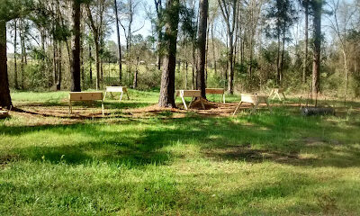 Apis Gardens & Agri-Life Organic Farm