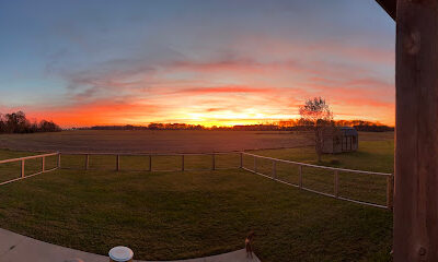 Wildcut Farm