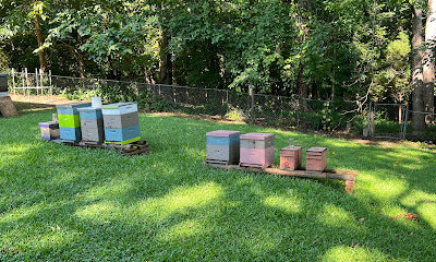 Papa Steve’s Bees, LLC