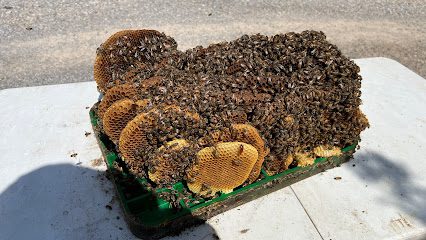 Southwest Honey And Bee Removals LLC.
