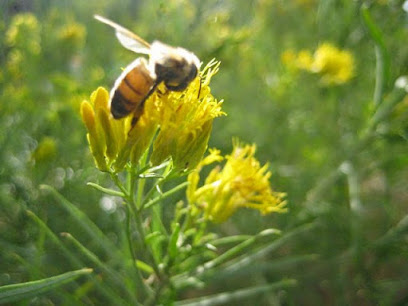 The Honey Company
