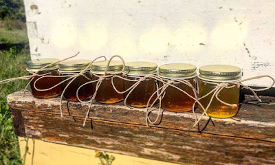 Five Hives Apiary: Florida Honey, Elderberry Syrup and More