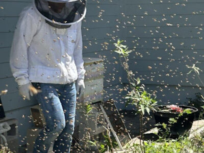 Ancient City Apiaries, LLC