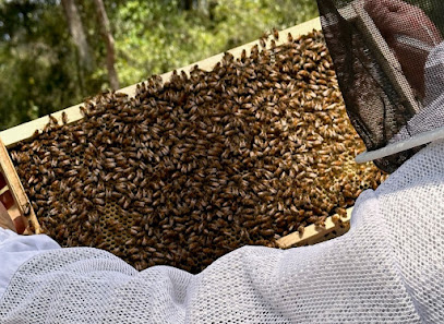 Wild Water Apiary