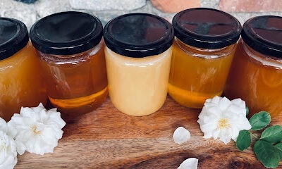 Golden Honeybees