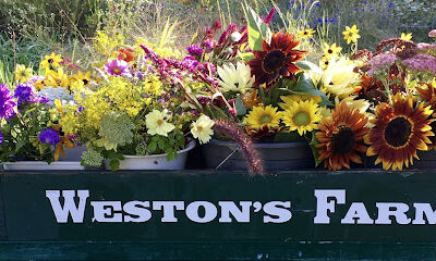 Weston's Farm & Market