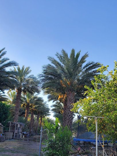 Catalinas Dates