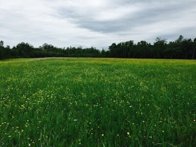 Lund Family Farm