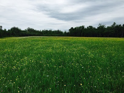 Lund Family Farm