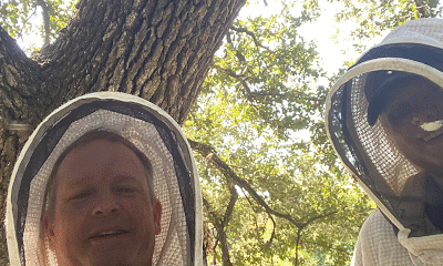 Waco Wild Honey