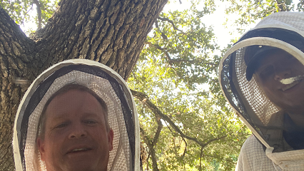 Waco Wild Honey