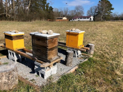 Shady Acres Farm and Apiary