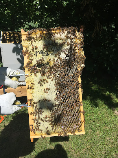 Hoss' Sweet Hives