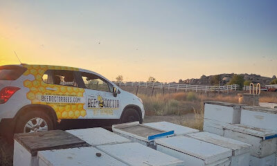 BeeDoctor Bee Removal